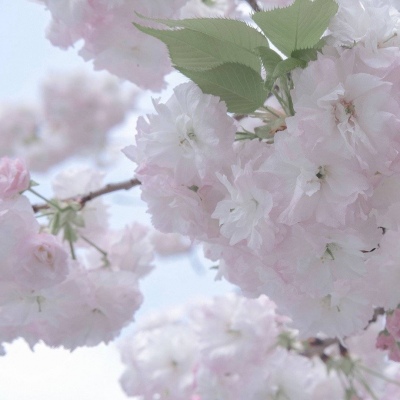 Furry兽圈创作趋势福瑞交流群